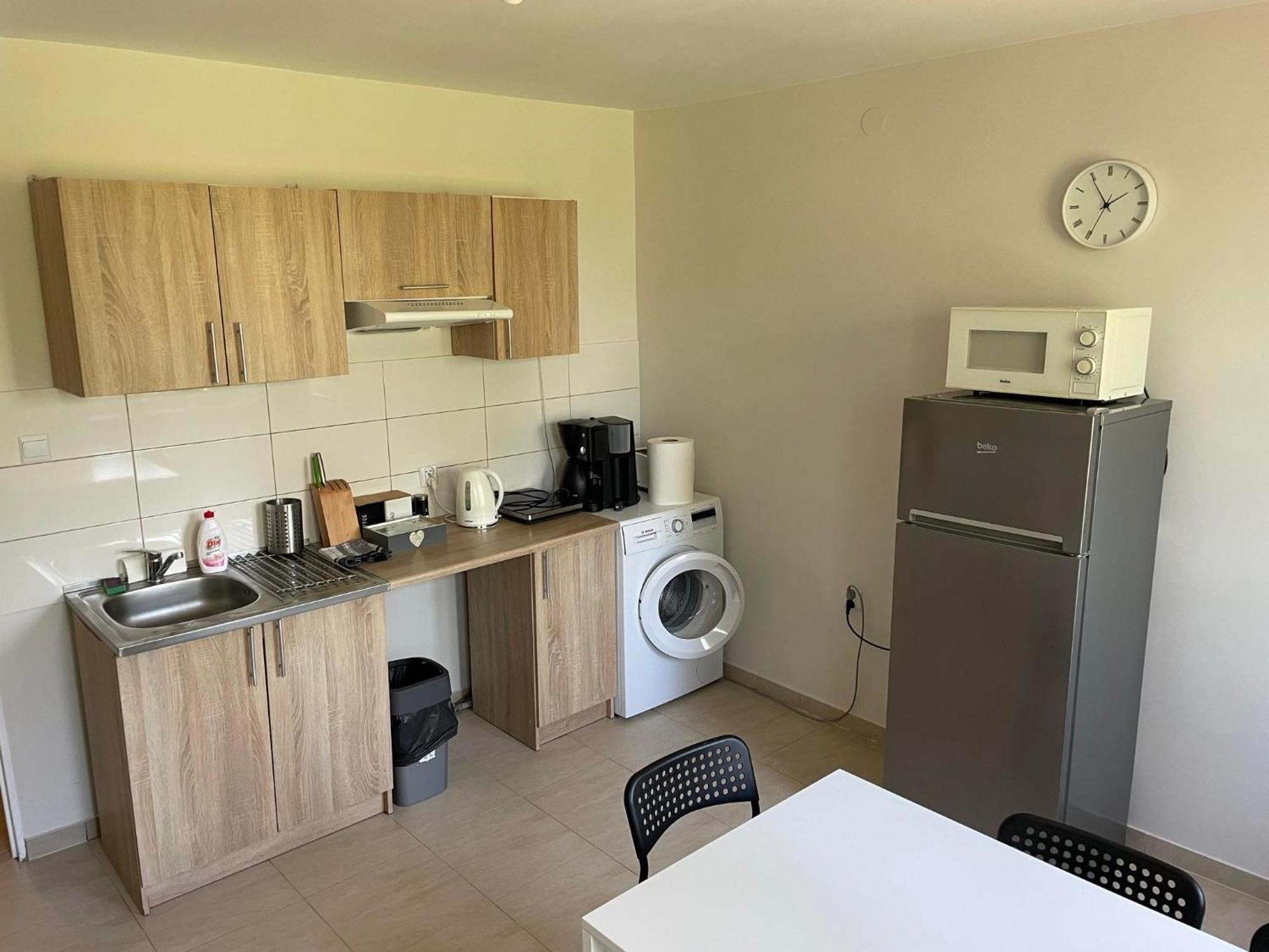 Mozaikowy Piec Apartment Ślesin Екстериор снимка